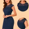 Allegra K Women's Elegant Stretch Knit Cap Sleeve Allover Floral Lace Bodycon Dress